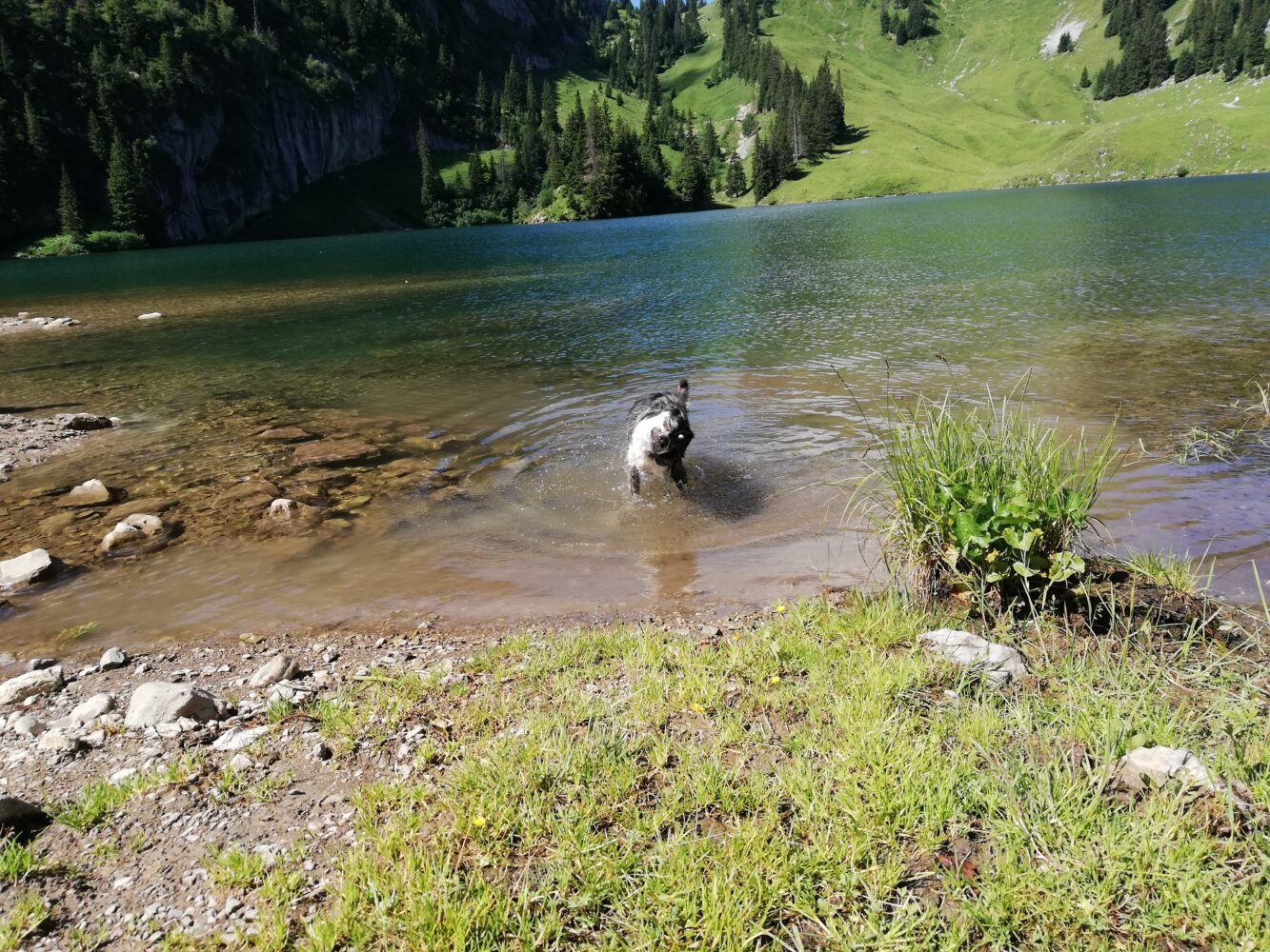 Hinterstockensee, Erlenbach im Simmental