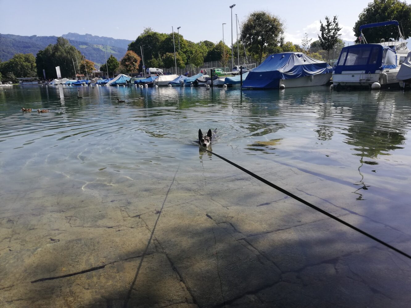 Thunersee, Thun