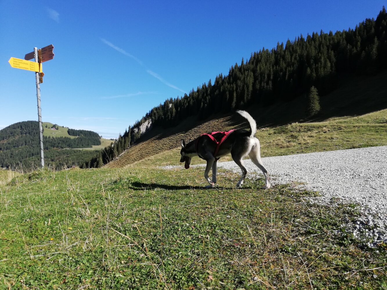 Gantrischseeli, Rüschegg